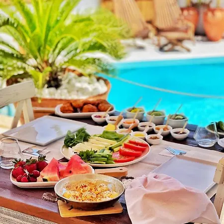 Anit 2* 阿拉恰特