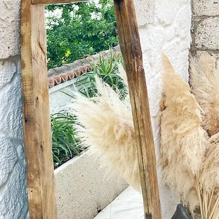 Anit 酒店 阿拉恰特