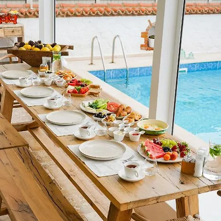 Anit 2* 阿拉恰特