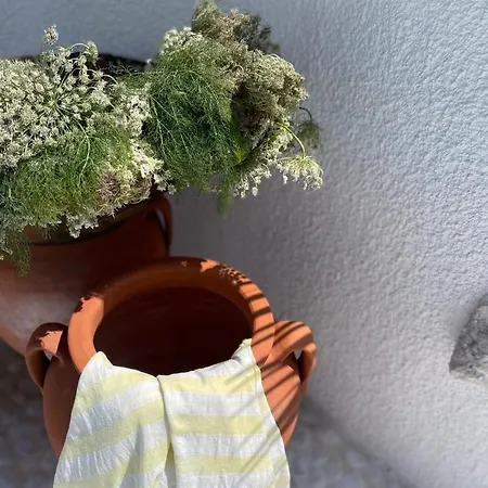 Anit 2* 阿拉恰特