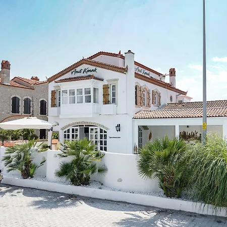 Anit 2* 阿拉恰特